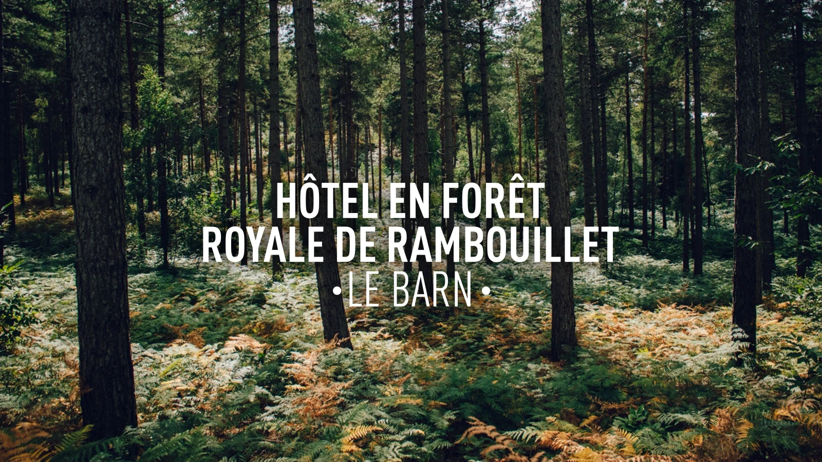 Titre hôtel en forêt royale de Rambouillet, le Barn avec en arrière plan une forêt