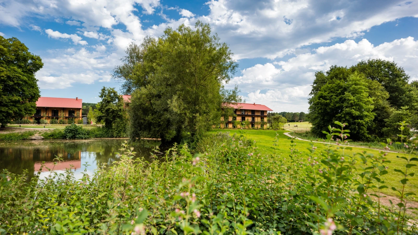 paysage, arbres et végétation autour d'un lac, maisons en arrière plan, campagne, ciel bleu nuageux