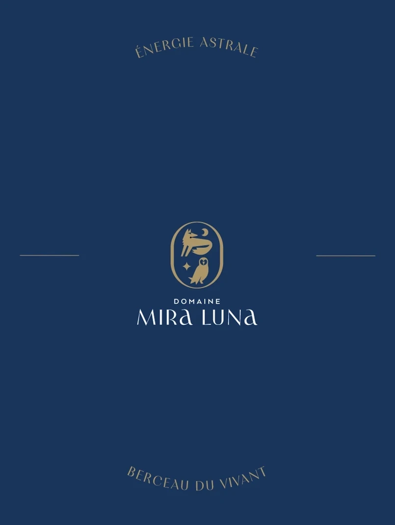 L'identité de Mira Luna sur fond bleu