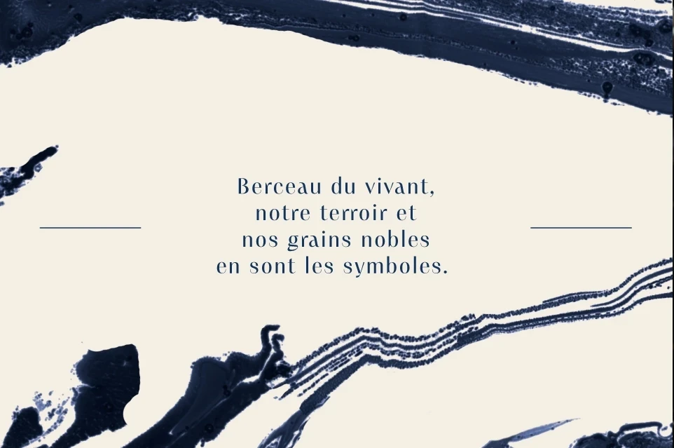 Image graphique avec la mention : Berceau du vivant, notre terroir et nos grains nobles en sont le symbole