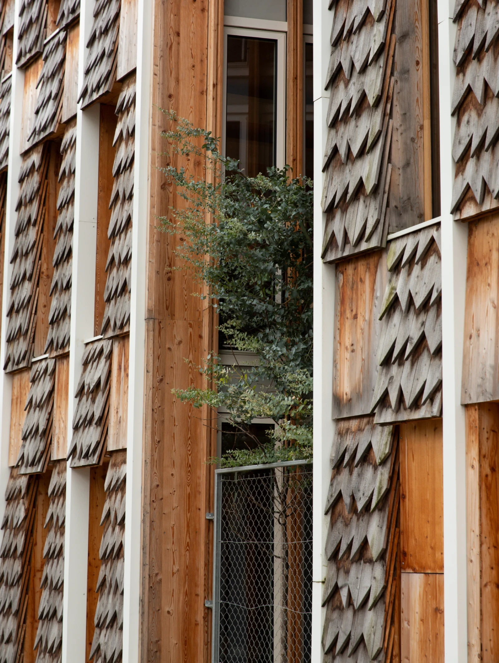 Photo de la façade, au siège social Nature & Découvertes. Architectes : Patrick Bouchain et Loïc Julienne.