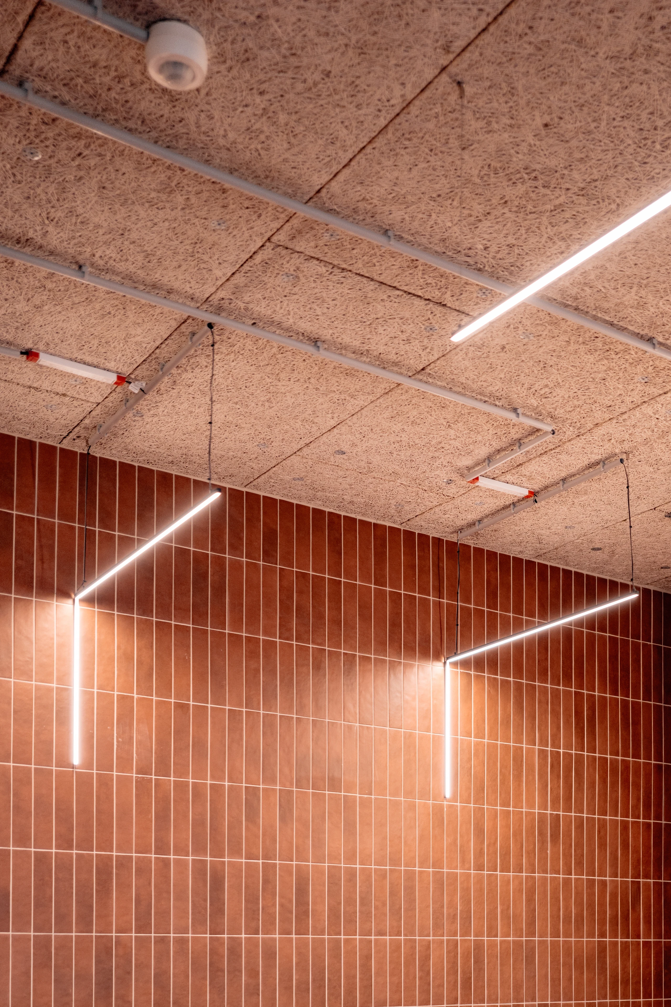 Détail de plafond en panneaux Fibralith, architecture intérieure